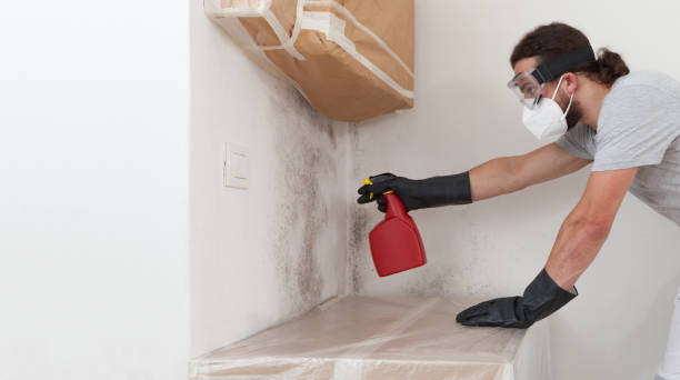 Professional Bathroom Mold Removal technician working in White Plains, NY